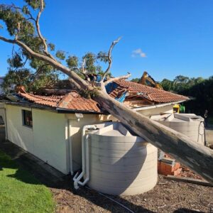 Property damaged before settlement in Victoria